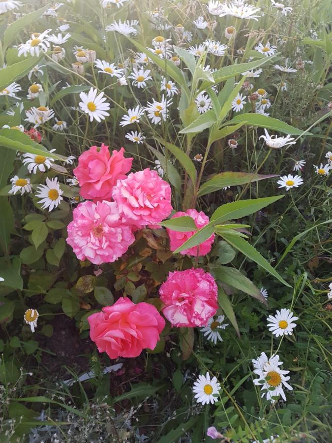 La Lisiere Du Morvan Magny-Lormes 外观 照片