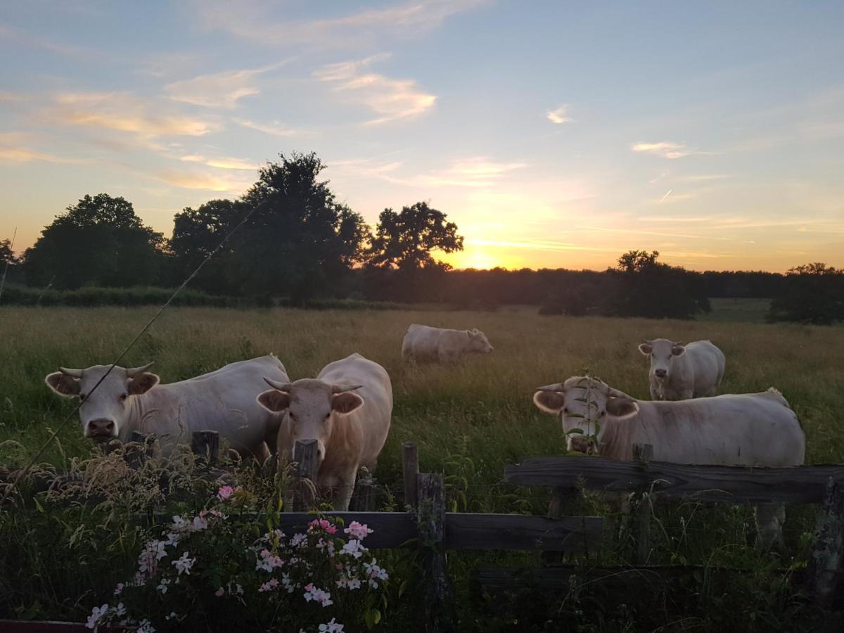 La Lisiere Du Morvan Magny-Lormes 外观 照片