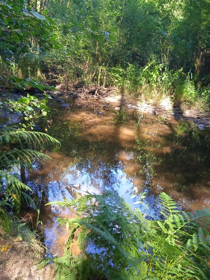 La Lisiere Du Morvan Magny-Lormes 外观 照片